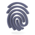 Fingerprint_perspective_matte_s Fingerprint_perspective_matte_s